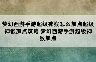 梦幻西游手游超级神猴怎么加点超级神猴加点攻略 梦幻西游手游超级神猴加点